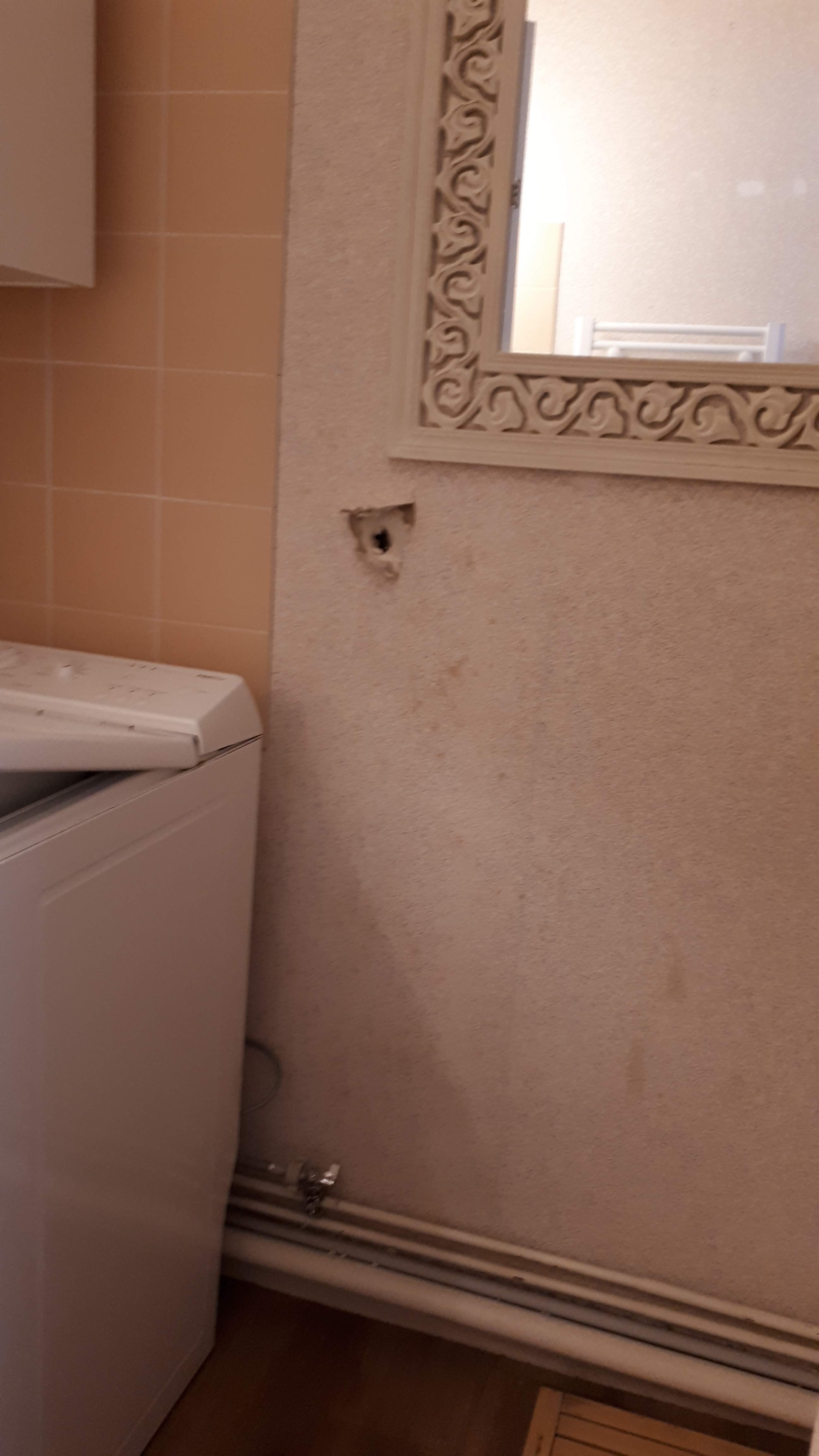Photo n° 4 de l'avis de Olaf.e fait le 06/08/2019 à 10:39