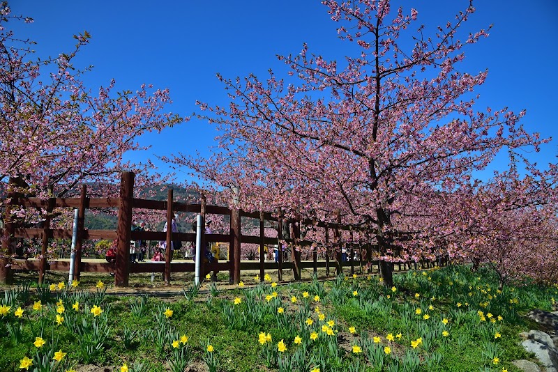 上関城山歴史公園