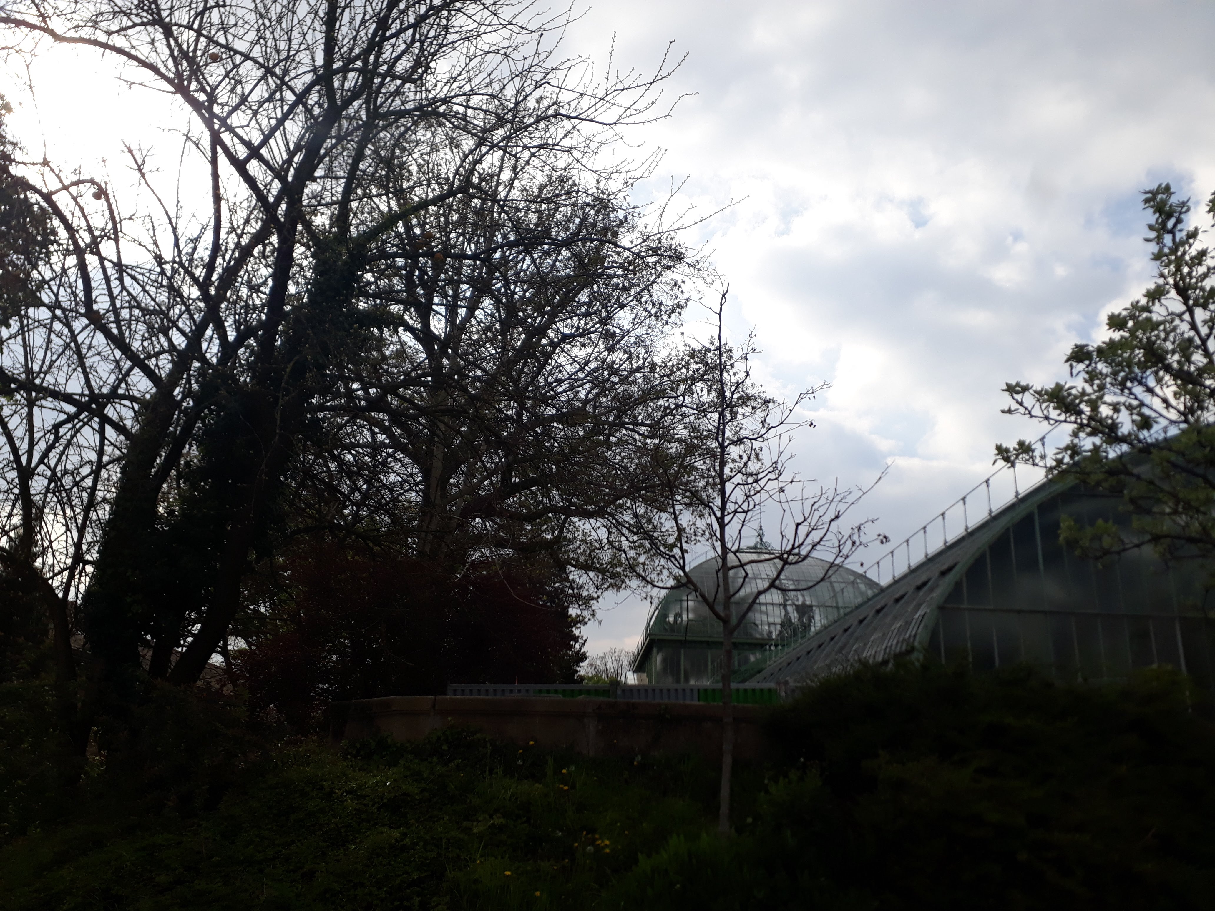 Photo n° 11 de l'avis de Julien.a fait le 12/04/2019 à 17:32