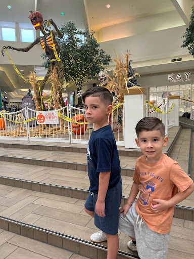 Shopping Mall «Golden Triangle Mall», reviews and photos, 2201 S Interstate 35 E, Denton, TX 76205, USA