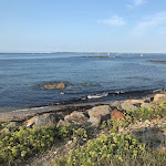 Photo n° 3 de l'avis de R. fait le 13/08/2021 à 08:47 pour Camping de La Lande à Gâvres