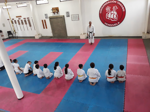 Hombu Dojo Tanabe PRINCIPAL