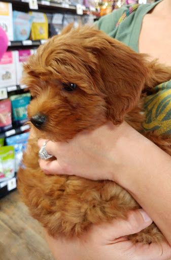 Pet Store «Earthwise Pet - Southlake», reviews and photos, 100 W Southlake Blvd #150, Southlake, TX 76092, USA