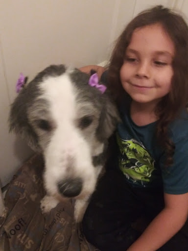 Pet Supply Store «Pet Supplies Plus», reviews and photos, 2155 Delaware Ave, Buffalo, NY 14216, USA