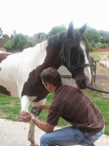 عيادة أوبسم ستوكوود بارك - OPSM Stockwood Park Clinic