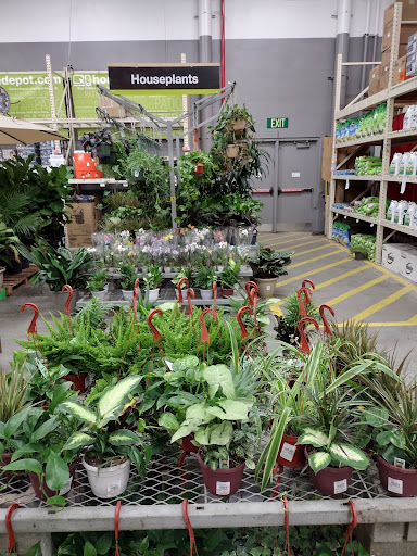 Home Improvement Store «The Home Depot», reviews and photos, 601 Woollomes Ave, Delano, CA 93215, USA