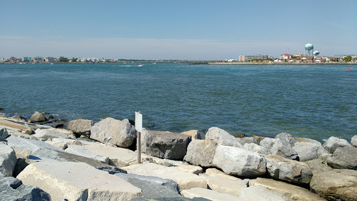 National Park «Assateague Island National Seashore», reviews and photos, 7206 National Seashore Ln, Berlin, MD 21811, USA