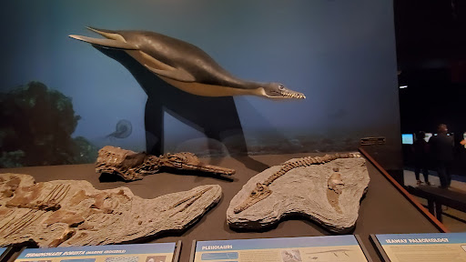 Science Museum «Museum of the Rockies», reviews and photos, 600 W Kagy Blvd, Bozeman, MT 59717, USA