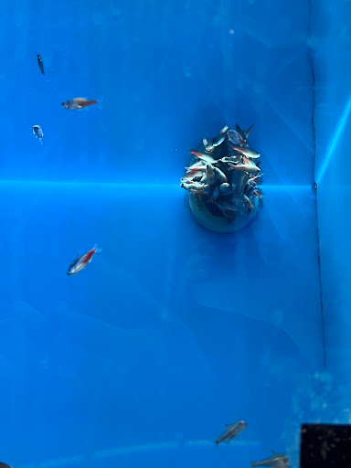 Pet Supply Store «PetSmart», reviews and photos, 11183 S Parker Rd, Parker, CO 80134, USA