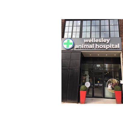 Wellesley Animal Hospital