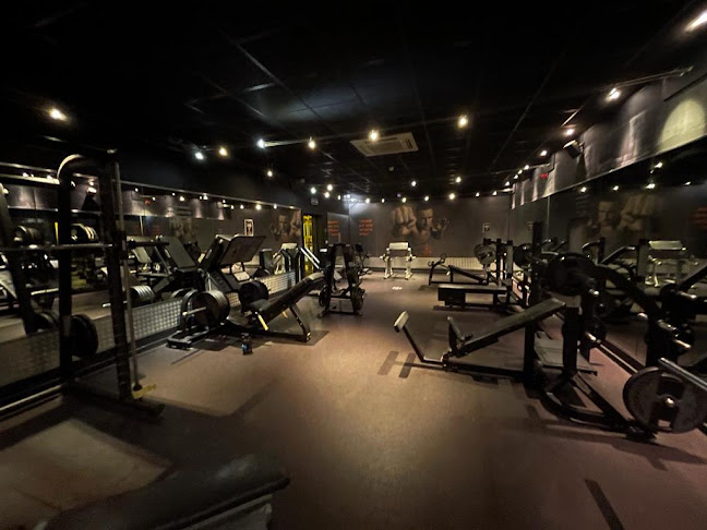 Reviews of Gym etc in Newcastle upon Tyne - Gym