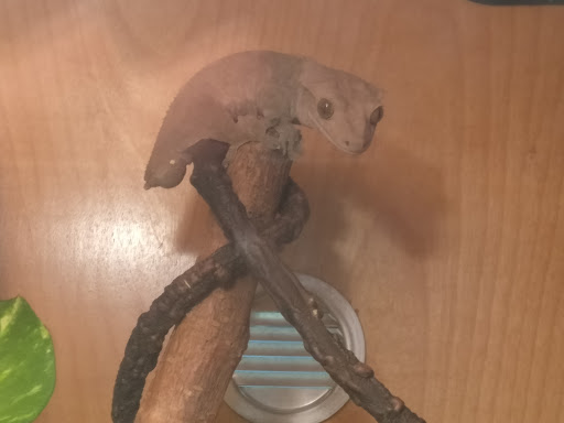 Nature Preserve «Fountain Rock Park & Nature Center», reviews and photos, 8511 Nature Center Place, Walkersville, MD 21793, USA