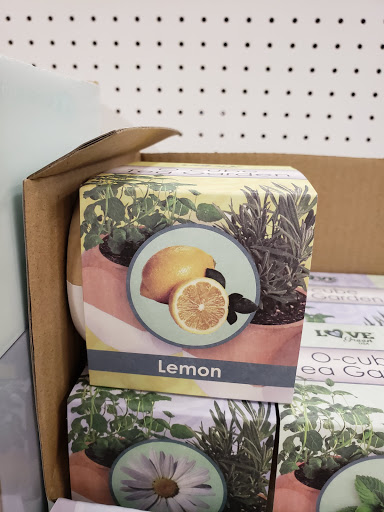 Department Store «Target», reviews and photos, 9900 Sowder Village Square, Manassas, VA 20109, USA