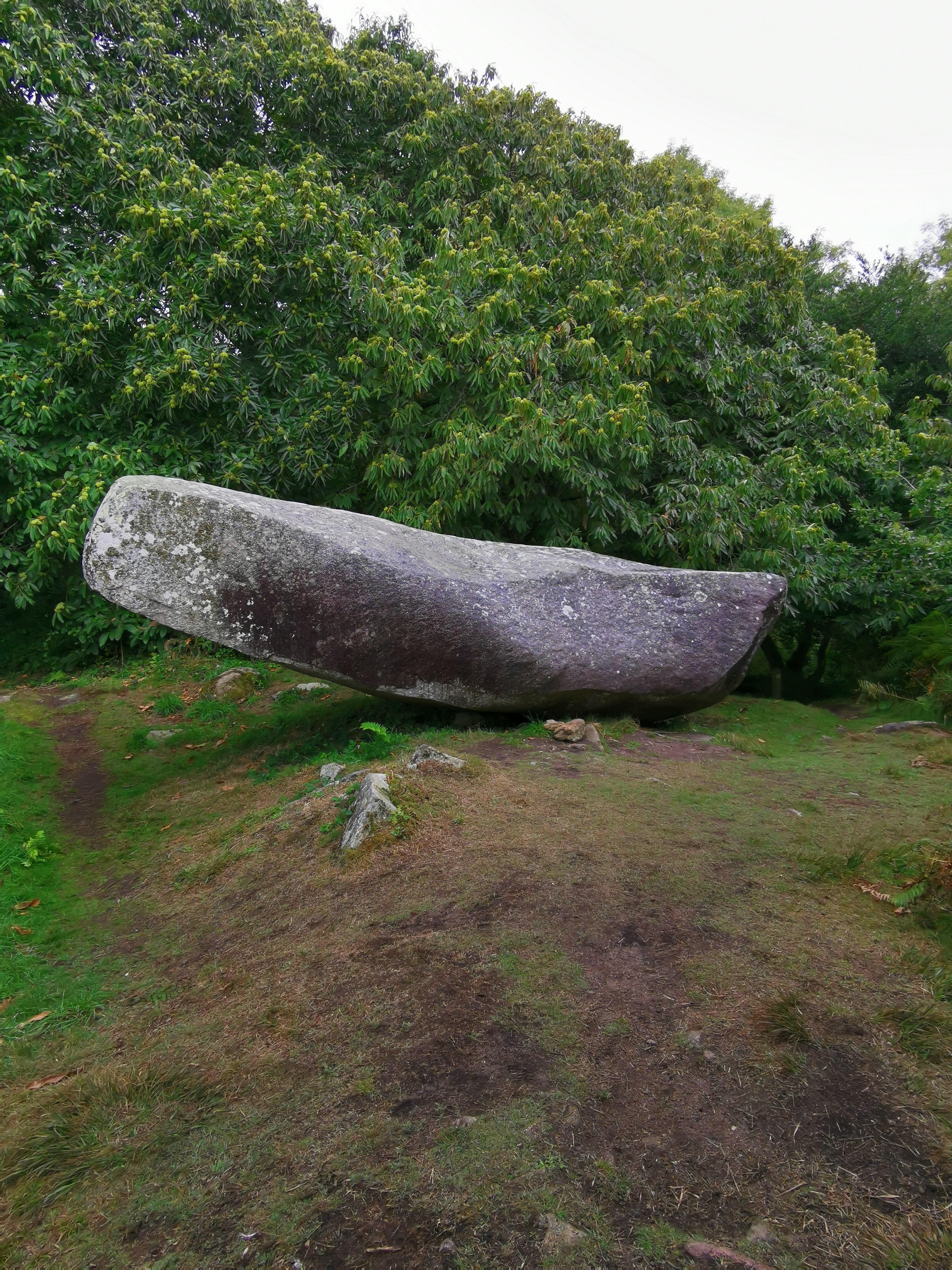 Photo n° 4 de l'avis de Bernard.e fait le 27/09/2019 à 17:02