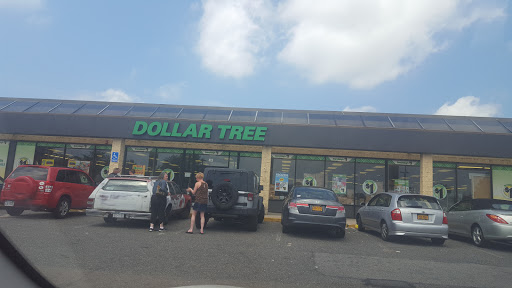 Dollar Tree image 1