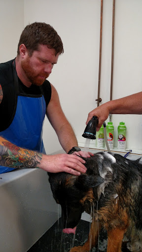 Pet Supply Store «Healthy Pet Center», reviews and photos, 775 New Loudon Rd, Latham, NY 12110, USA