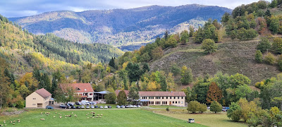 Centre du Torrent à Storckensohn
