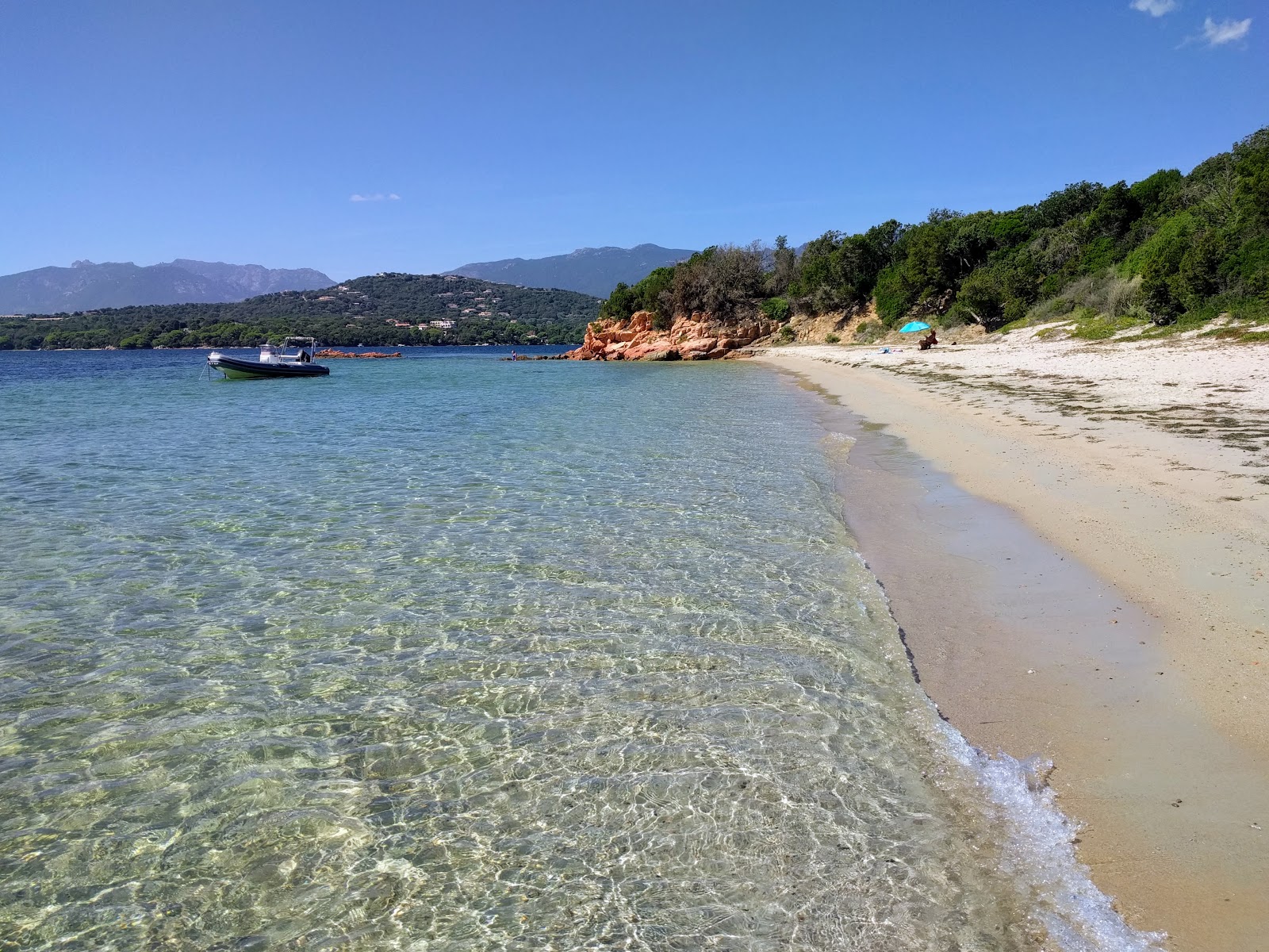 Plage Punta di Benedettu'in fotoğrafı doğal alan içinde bulunmaktadır