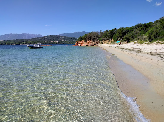 Plage Punta di Benedettu