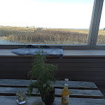 Photo n°3 de l'avis de Thomas.o fait le 27/01/2023 à 14:02 sur le  Sturmhaube à Kampen