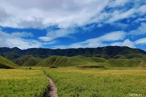 Dzukou Valley, The Only Network Point (Peak) image