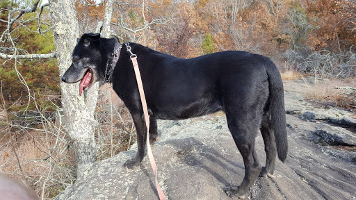 National Park «Kennesaw Mountain National Battlefield Park», reviews and photos, 900 Kennesaw Mountain Dr, Kennesaw, GA 30188, USA
