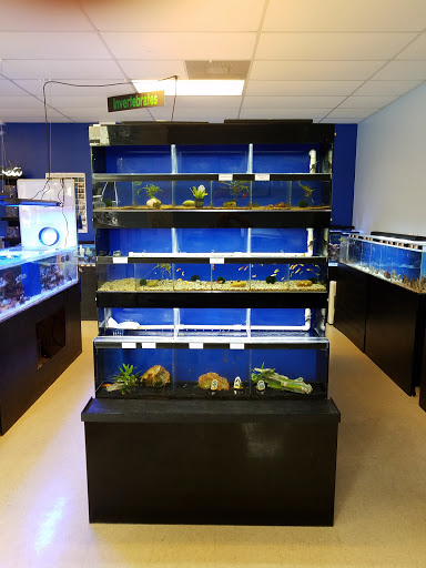 Pet Store «Aqua-Holics», reviews and photos, 2154 Central Florida Pkwy, Orlando, FL 32837, USA