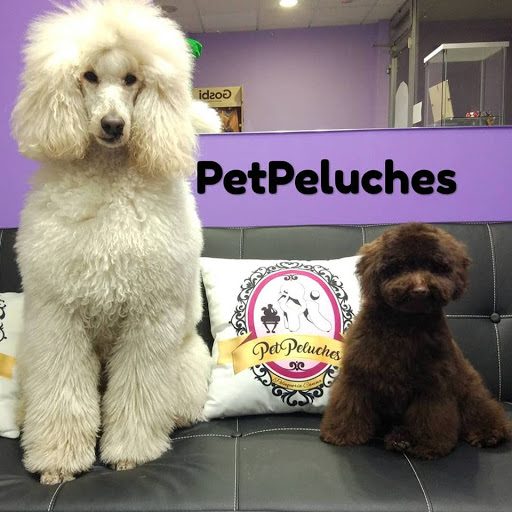 Petpeluches