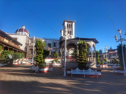 Mercado municipal San Miguel de las Flores - C. Hidalgo 206, 49460 La Manzanilla de la Paz, Jal., Mexico