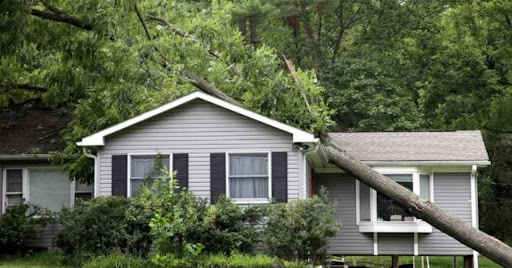 Insurance Agency «Thumann Agency, Inc», reviews and photos