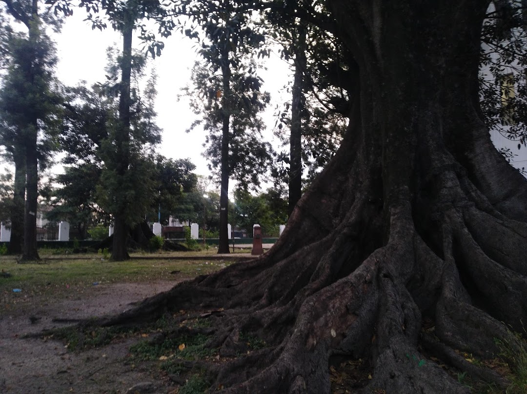 Escuela Nicolás Avellaneda