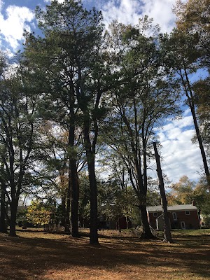 Randolph Hills Local Park - photo 95
