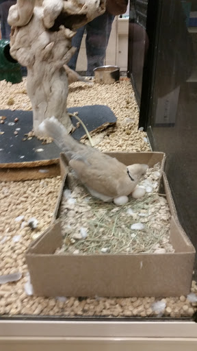 Pet Supply Store «PetSmart», reviews and photos, 160 Alewife Brook Pkwy, Cambridge, MA 02138, USA