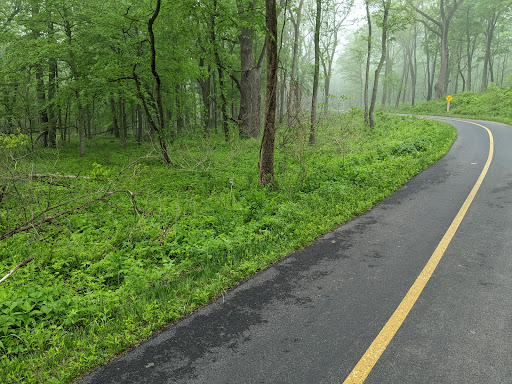 Nature Preserve «Hickory Creek Preserve», reviews and photos, Wolf Rd, Mokena, IL 60448, USA