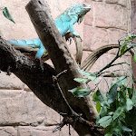 Photo n° 38 de l'avis de PIERRE.A fait le 04/11/2023 à 08:45 pour Zoo d'Amnéville à Amnéville