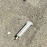 Photo n°1 de l'avis de Nando.e fait le 18/08/2019 à 10:23 sur le  The Sailing Club • Fregene à Fregenae