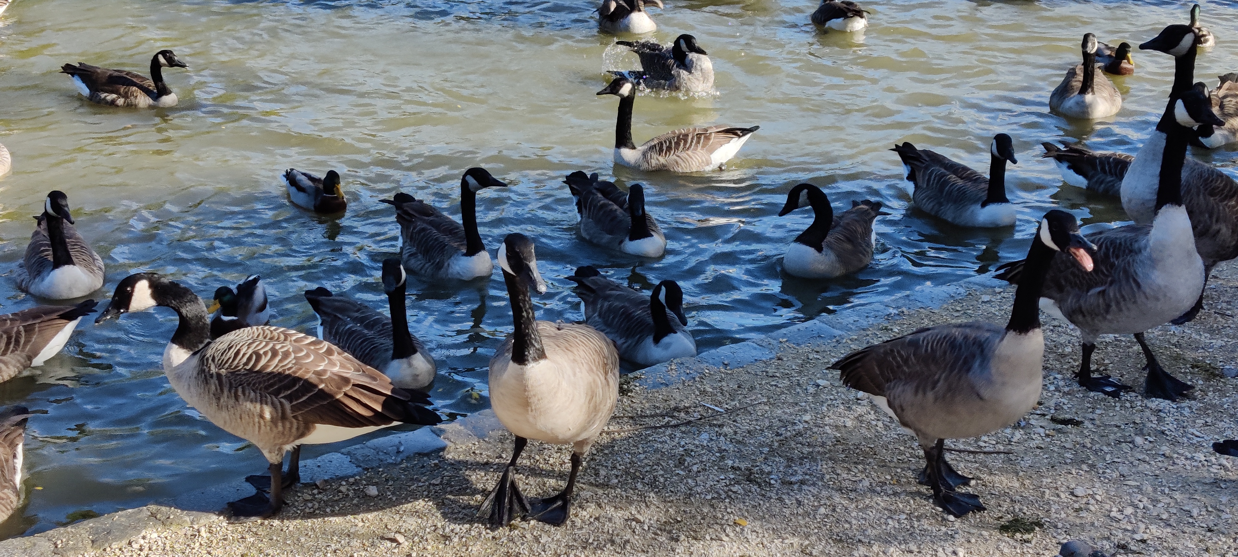 Photo n° 16 de l'avis de Jean.o fait le 15/10/2021 à 08:16