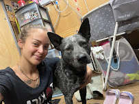 PawFect Dog Sitting and Grooming - Photo 3 - Car repair in , Lehigh Acres