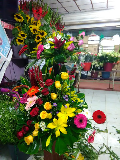 Florería Flores – Huejutla de Reyes