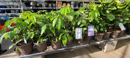 Electronics Store «Best Buy», reviews and photos, 13711 W Bell Rd, Surprise, AZ 85374, USA