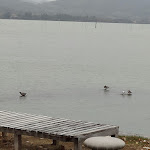 Photo n°4 de l'avis de Roberto.a fait le 18/10/2023 à 13:50 sur le  The Kiosk of San Feliciano à San Feliciano