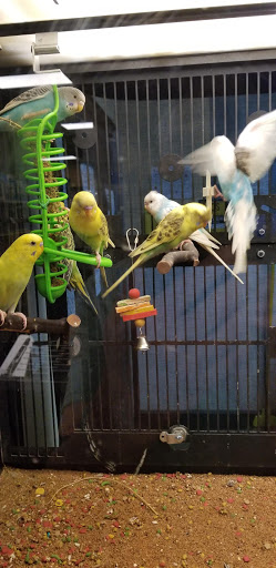 Pet Supply Store «PetSmart», reviews and photos, 238 Atlantic Ave, Brooklyn, NY 11201, USA