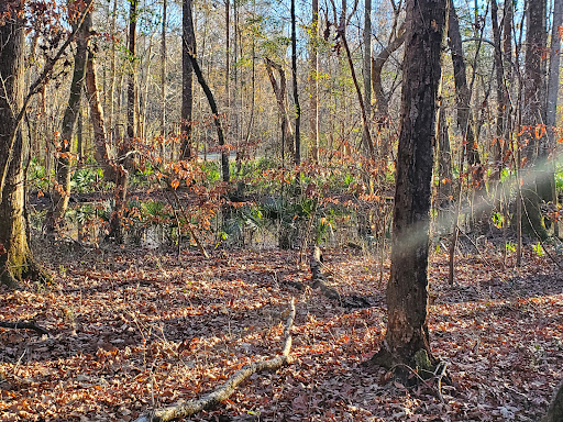 Sawmill Branch Trail – Bacon’s Bridge Trailhead