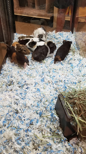 Pet Supply Store «PetSmart», reviews and photos, 1671 E Market St, Harrisonburg, VA 22801, USA