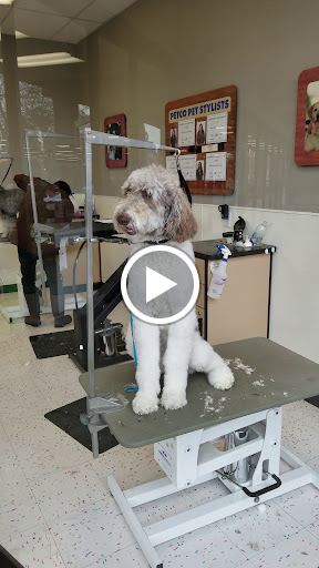 Pet Supply Store «Petco Animal Supplies», reviews and photos, 1919 El Camino Real, Mountain View, CA 94040, USA