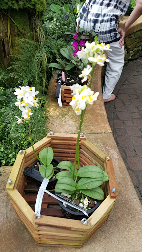 Botanical Garden «Atlanta Botanical Garden», reviews and photos, 1345 Piedmont Ave NE, Atlanta, GA 30309, USA