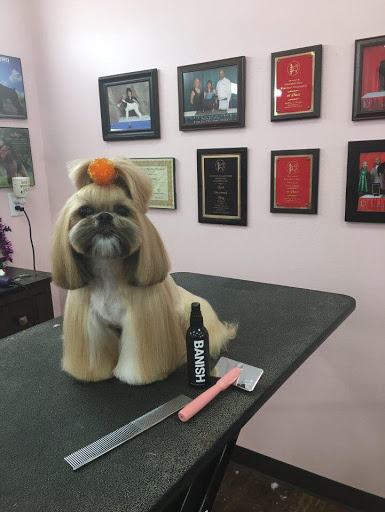 Pet Groomer «Woof Gang Bakery & Grooming, The Villages», reviews and photos, 3682 Meggison Rd, The Villages, FL 32163, USA