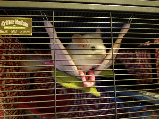 Pet Supply Store «Pet Supplies Plus», reviews and photos, 4505 S 76th St, Greenfield, WI 53220, USA