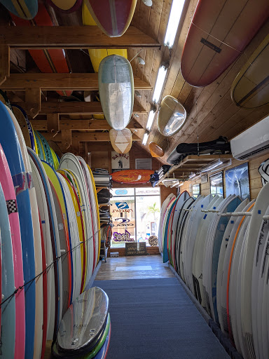 Surf Shop «Suncoast Surf Shop», reviews and photos, 9841 Gulf Blvd, Treasure Island, FL 33706, USA