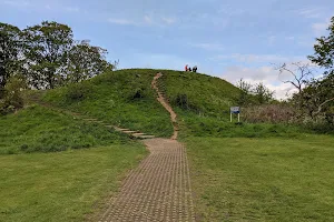 Castle Mound image